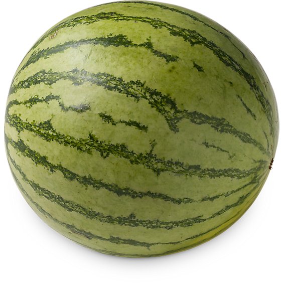 Organic Mini  Seedless Watermelon