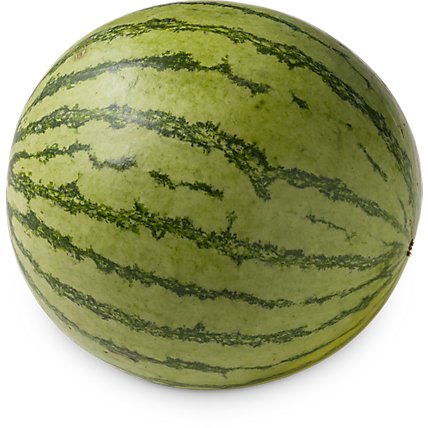 Organic Mini  Seedless Watermelon - Image 1