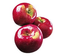 Apples Macintosh Organic