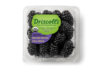 Organic Blackberries Prepacked - 6 Oz