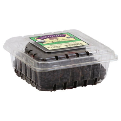 Organic Blackberries Prepacked - 6 Oz - Image 1