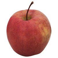 undefined - Image 1