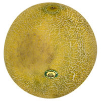 Organic Galia Melon