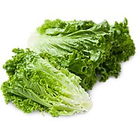Organic Green Leaf Lettuce - Image 1