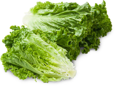 green leafy lettuce