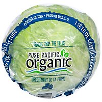 Cal-Organic Farms Organic Iceberg Lettuce - Image 3