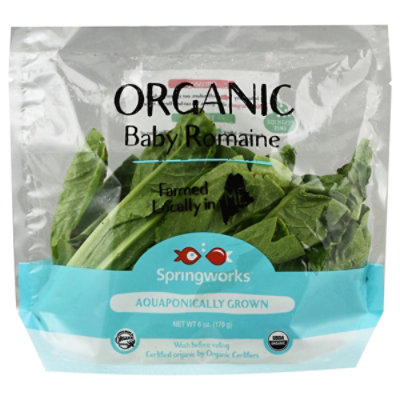 Organic Green Romaine Lettuce - Image 3