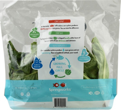 Organic Green Romaine Lettuce - Image 4