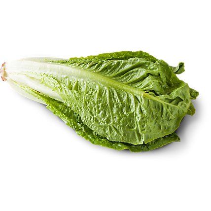 Organic Green Romaine Lettuce - Image 1