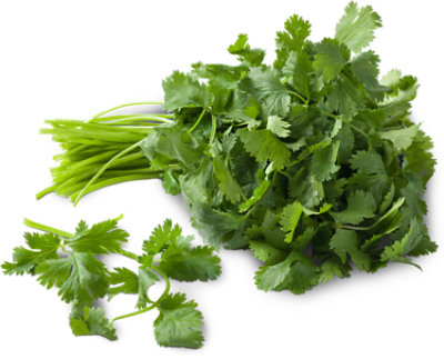 Cal-Organic Farms Organic Cilantro - 1 Bunch