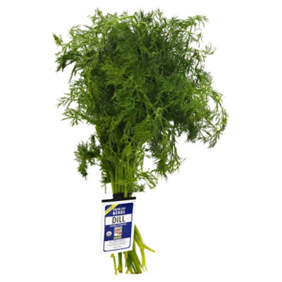 Organic Dill - 1 Bunch