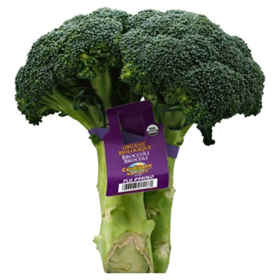 Organic Broccoli - Image 1