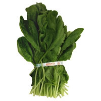 Cal-Organic Farms Organic Spinach - 1 Bunch - Image 1