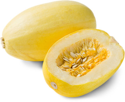 Organic Spaghetti Squash - Image 1