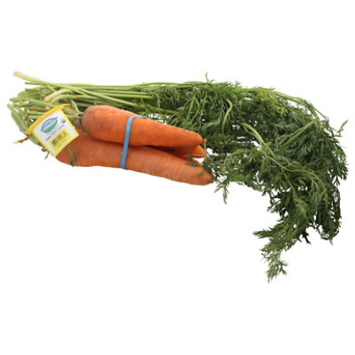 Organic Carrots - 1 Bunch - Image 3