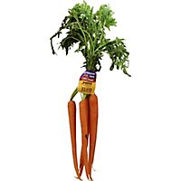 Organic Carrots - 1 Bunch - Image 2