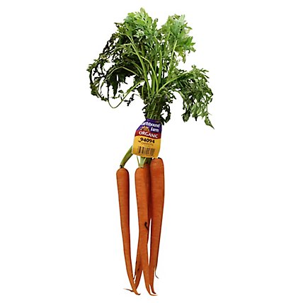 Organic Carrots - 1 Bunch - Image 1