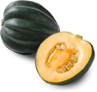 Organic Green Acorn Squash