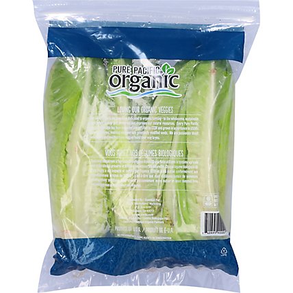 Organic Romaine Hearts Prepackaged - 3 Count - Image 6