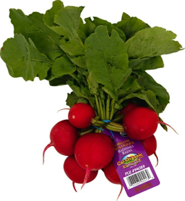 Cal-Organic Farms Organic Red Radishes - 1 Bunch - Image 2