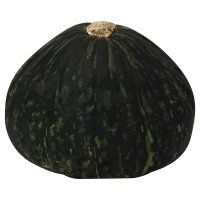 Organic Kabocha Squash