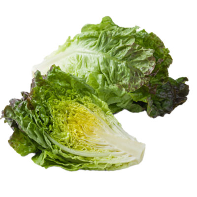 Organic Red Leaf Lettuce - Image 1