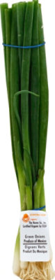 Organic Green Onions - 1 Bunch - Image 2