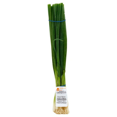 Organic Green Onions - 1 Bunch - Image 1