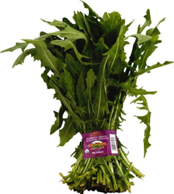 Cal-Organic Farms Organic Dandelion Greens Prepacked - 12 Count - Image 2