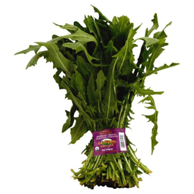 Cal-Organic Farms Organic Dandelion Greens Prepacked - 12 Count - Image 1