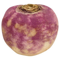 Organic Turnip