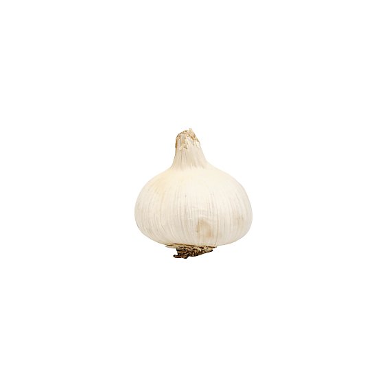 Garlic Organic