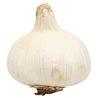 Garlic Organic - Image 1