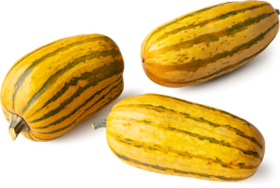 Organic Hard Delicata Squash - Image 1