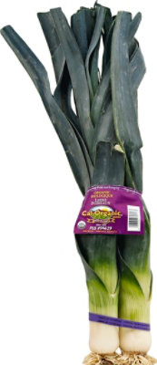 Organic Leek - Image 2