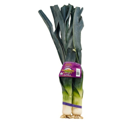 Organic Leek - Image 1