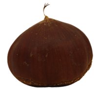 Chestnuts In Shell - 1 Lb
