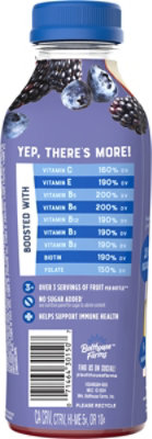 Bolthouse Farms 100% Fruit Juice Smoothie Blue Goodness - 15.2 Fl. Oz. - Image 6