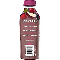 Bolthouse Farms 100% Fruit Juice Smoothie Berry Boost - 15.2 Fl. Oz. - Image 4