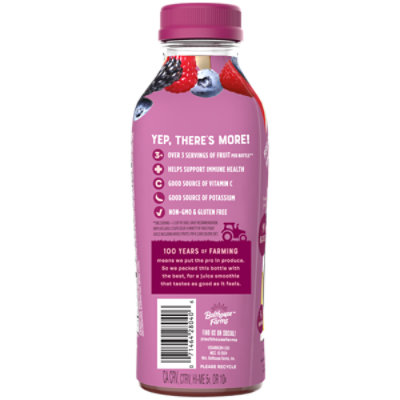 Bolthouse Farms 100% Fruit Juice Smoothie Berry Boost - 15.2 Fl. Oz. - Image 4