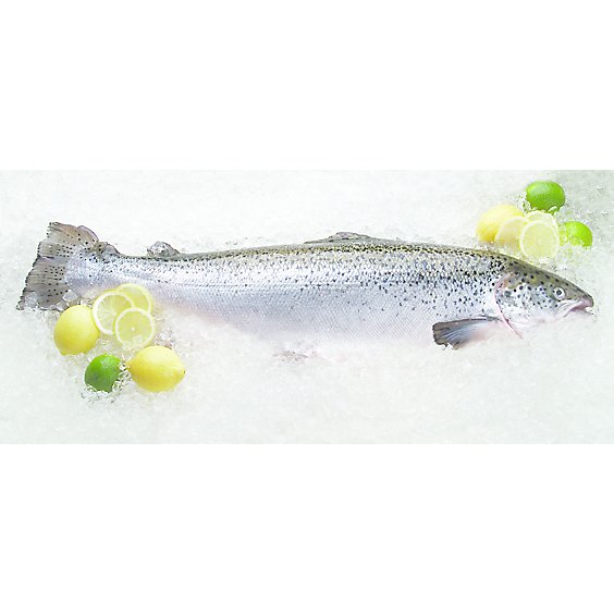 Seafood Counter Fish Salmon Coho Whole Half Fresh - 4.00 LB