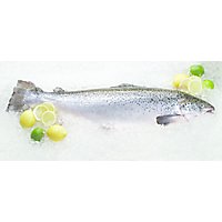 Seafood Counter Fish Salmon Silver Coho Whole/Half Fresh - 4.00 LB - Image 1