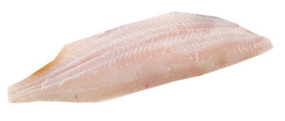 Seafood Counter Fish Sole Petrale Fillet Fresh - 1.00 LB