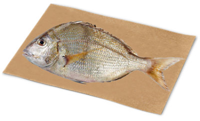 Porgie Whole Fresh - 1 Lb - Image 1