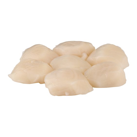 Seafood Counter Sea Scallops 10 to 20 Count Fresh - 1.50 Lb