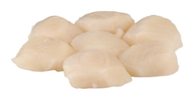 Sea Scallops 10 to 20 Count Per Pound Fresh - 1 Lb