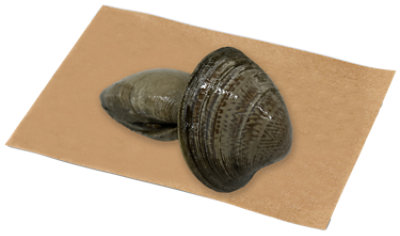 Seafood Counter Clam Cherrystone Live - 1.00 LB