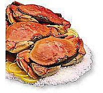 Crab Dungeness Whole Cooked Fresh - 2 Lb (Subject To Availability)