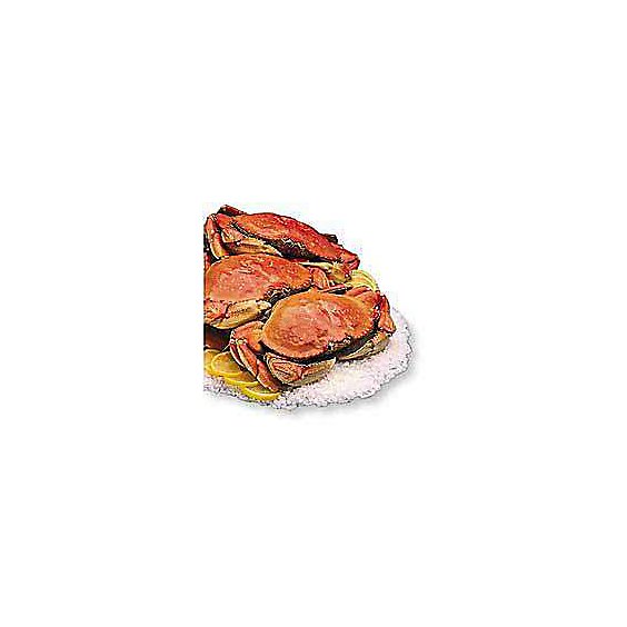 Seafood Counter Crab Dungeness Whole Cooked Fresh - 2.00 LB (Subject To Availability)