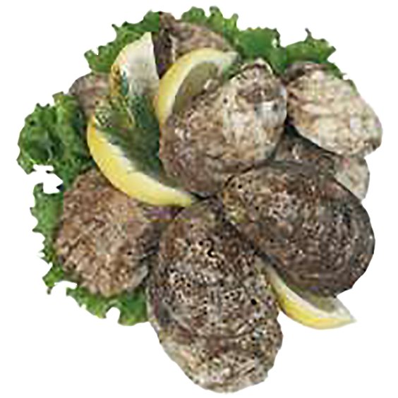 Seafood Counter Oysters Blue Point Live